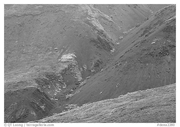 Foothills covered with tundra near Eielson. Denali National Park, Alaska, USA.