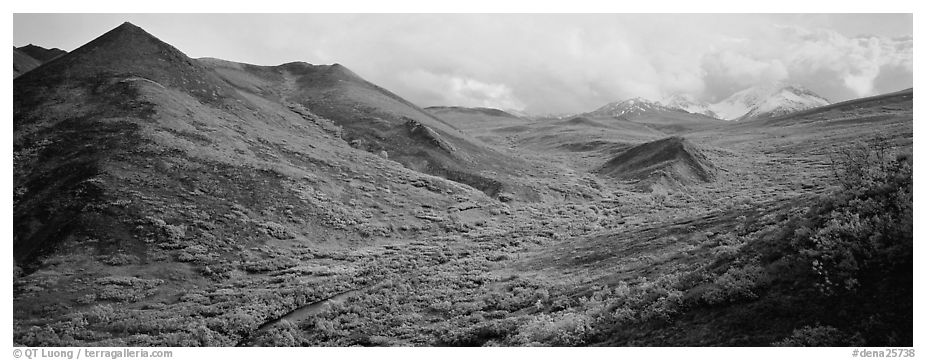 Tundra-covered foothills and valley. Denali  National Park (black and white)