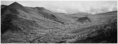 Tundra-covered foothills and valley. Denali  National Park (Panoramic black and white)