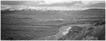 Wide mountain valley with braided river. Denali  National Park (Panoramic black and white)