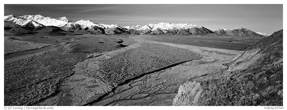 Alaskan scenery with wide braided rivers and mountains. Denali  National Park (black and white)