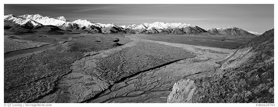 Alaskan scenery with wide braided rivers and mountains. Denali  National Park (black and white)