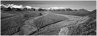 Alaskan scenery with wide braided rivers and mountains. Denali  National Park (Panoramic black and white)