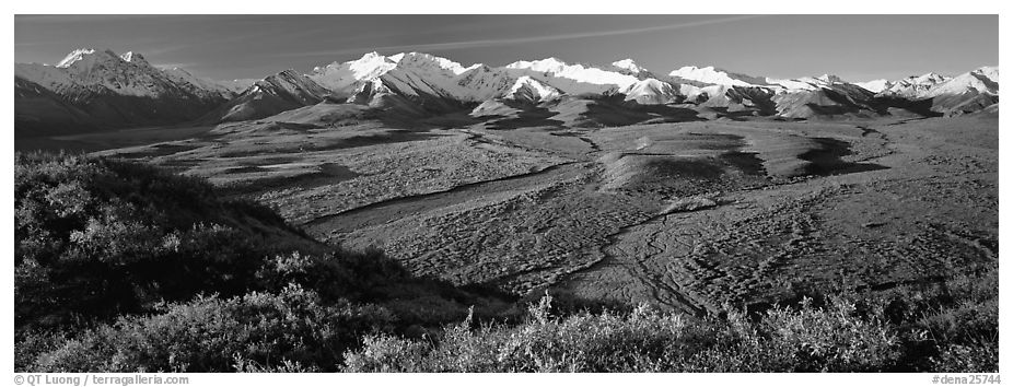 Passing of seasons in Alaska mountains. Denali National Park (black and white)