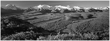 Passing of seasons in Alaska mountains. Denali  National Park (Panoramic black and white)