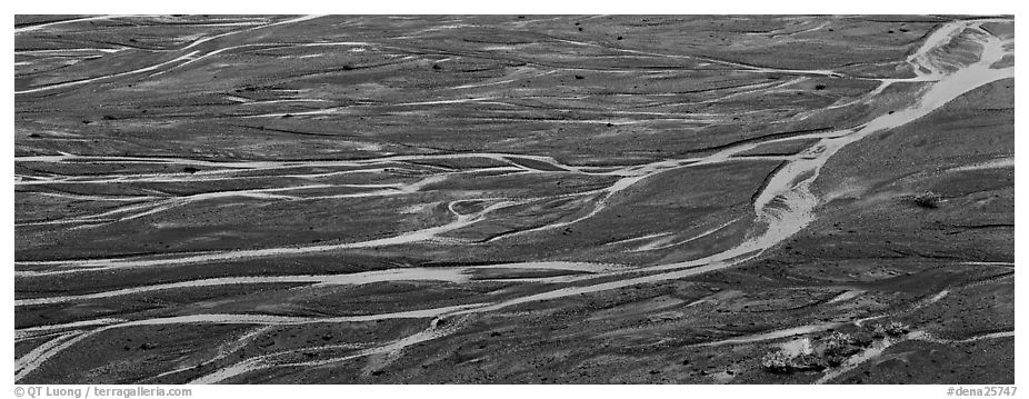 Sand bar and braided river. Denali National Park (black and white)