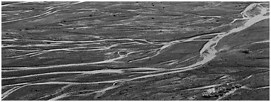 Sand bar and braided river. Denali  National Park (Panoramic black and white)