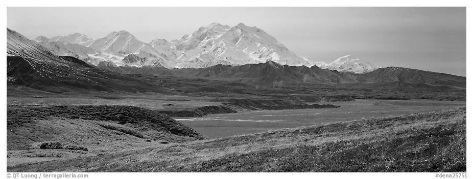 Mount McKinley rises above autumn tundra. Denali  National Park (black and white)