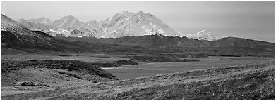 Mount McKinley rises above autumn tundra. Denali  National Park (Panoramic black and white)