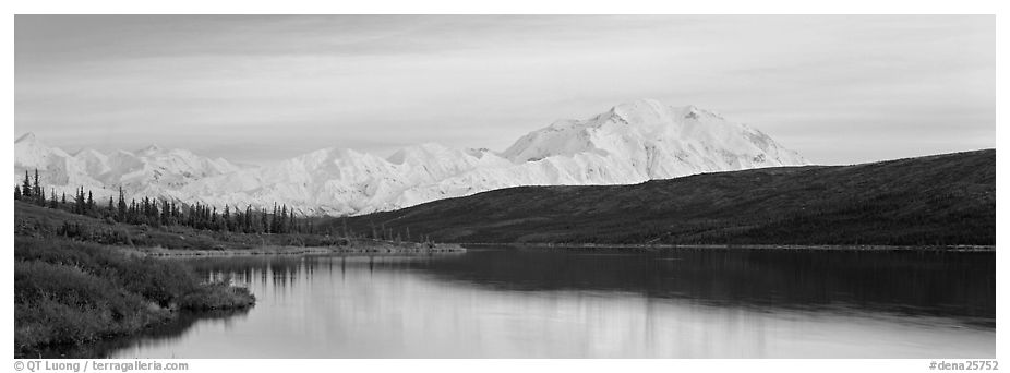 Pastel landscape with Mount McKinley reflected in lake. Denali National Park (black and white)