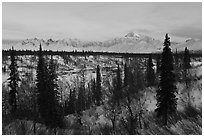 Alaska range and boreal forest in winter. Denali National Park, Alaska, USA. (black and white)