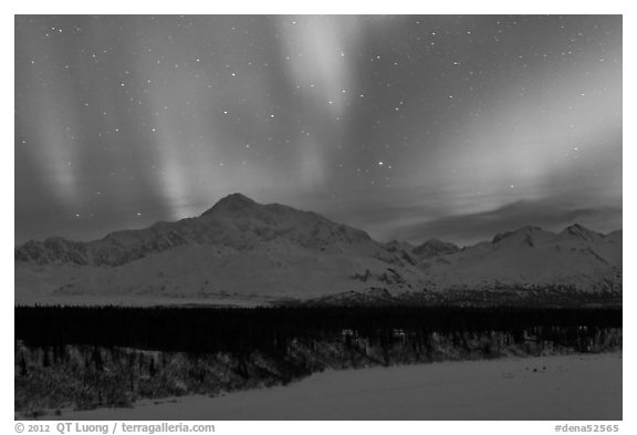 Northern lights above Mt McKinley. Denali National Park, Alaska, USA.