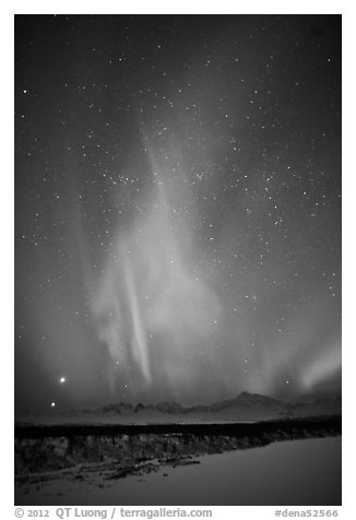 Aurora above Mt McKinley, winter. Denali National Park (black and white)