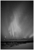 Aurora above Mt McKinley, winter. Denali National Park, Alaska, USA. (black and white)