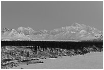 Denali and Mt Hunter at dawn in winter. Denali National Park, Alaska, USA. (black and white)