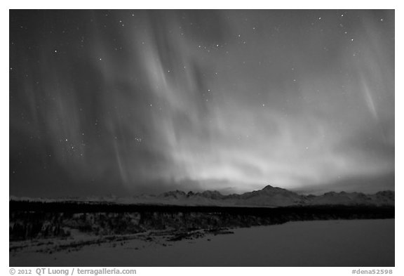 Northern lights  above Alaska range. Denali National Park (black and white)