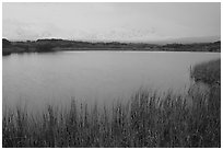 Mt McKinley in the fog from Reflection pond, dawn. Denali National Park, Alaska, USA. (black and white)