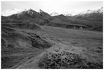 Alaska Range from Eielson. Denali National Park, Alaska, USA. (black and white)