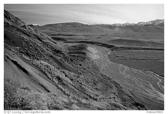 Braided river from Polychrome Pass, morning. Denali National Park, Alaska, USA.