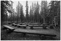 Amphitheater, Riley Creek Campground. Denali National Park ( black and white)