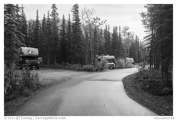 Riley Creek Campground. Denali National Park (black and white)