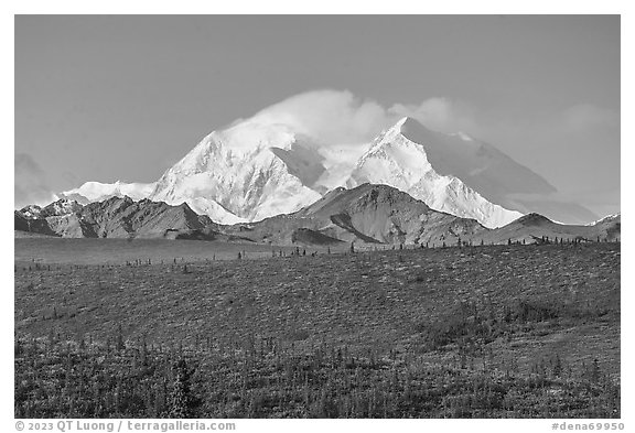 Denali from park road in autumn. Denali National Park (black and white)