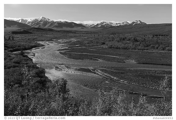 Savage River in autumn. Denali National Park (black and white)