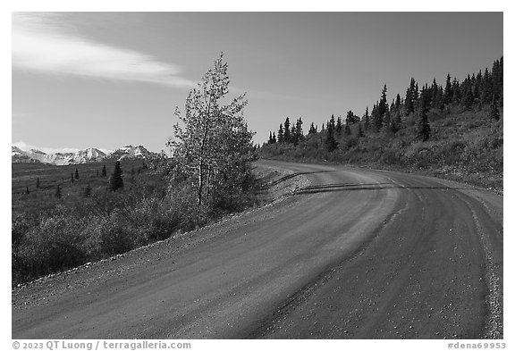 Unpaved section of park road and Alaska Range. Denali National Park (black and white)