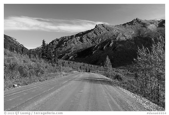 Unpaved section of park road and Mt Healey Range. Denali National Park (black and white)