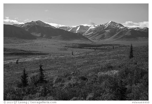 Tundra in autumn and Alaska Range. Denali National Park (black and white)