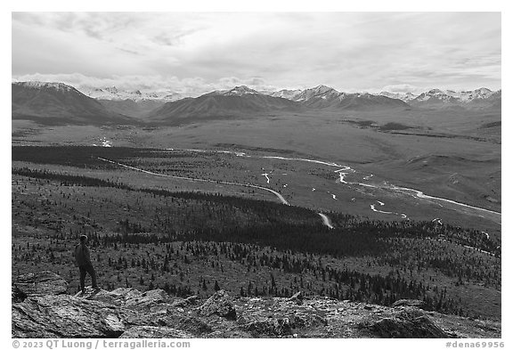 Visitor looking, Savage River and Alaska Range. Denali National Park (black and white)