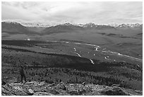 Visitor looking, Savage River and Alaska Range. Denali National Park ( black and white)