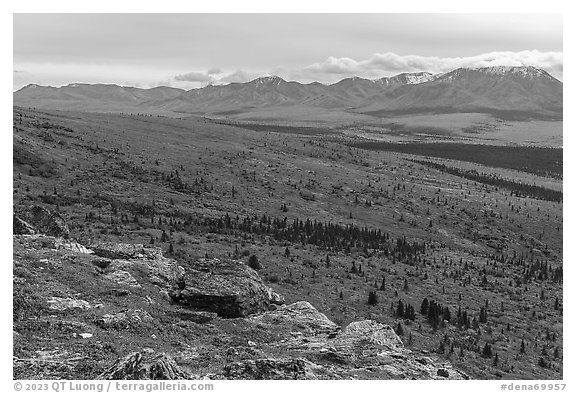 View from Savage Alpine Trail in autumn. Denali National Park, Alaska, USA.