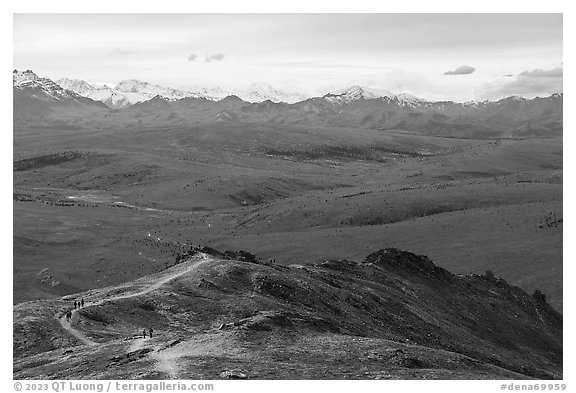 Hikers on Savage Alpine Trail. Denali National Park (black and white)