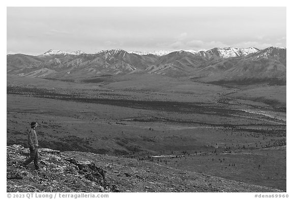 Visitor looking, from Savage Alpine Trail. Denali National Park (black and white)