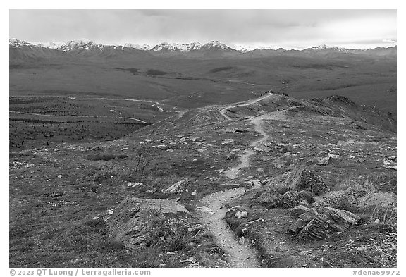 Savage Alpine Trail. Denali National Park, Alaska, USA.