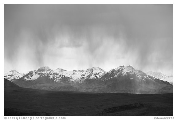 Rain clouds and Alaska Range. Denali National Park (black and white)
