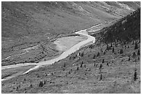 Savage River from above. Denali National Park ( black and white)