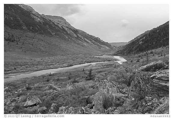 Savage River Valley in autumn. Denali National Park (black and white)