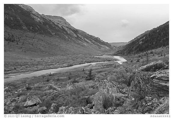 Savage River Valley in autumn. Denali National Park, Alaska, USA.