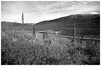 Alatna River valley near Circle Lake. Gates of the Arctic National Park ( black and white)