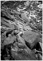 Lichen covered rocks at the base of Arrigetch Peaks. Gates of the Arctic National Park, Alaska, USA. (black and white)