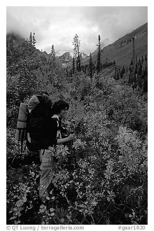 Backpacker in Arrigetch Creek. Gates of the Arctic National Park, Alaska