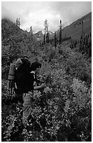 Backpacker in Arrigetch Creek. Gates of the Arctic National Park, Alaska (black and white)