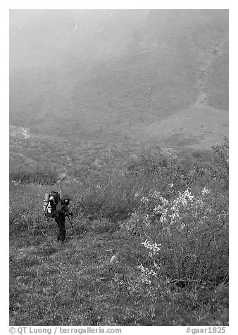 Backpacker in Arrigetch Valley. Gates of the Arctic National Park, Alaska