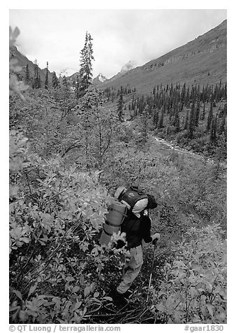 Backpacker in Arrigetch Creek. Gates of the Arctic National Park, Alaska