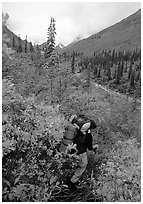 Backpacker in Arrigetch Creek. Gates of the Arctic National Park, Alaska (black and white)