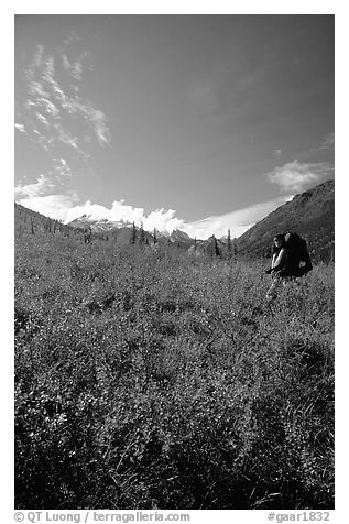 Backpacker in the tundra at the entrance of Arrigetch Creek. Gates of the Arctic National Park, Alaska