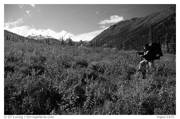 Backpacker in the tundra at the entrance of Arrigetch Creek. Gates of the Arctic National Park, Alaska