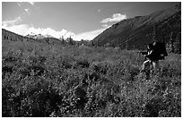 Backpacker in the tundra at the entrance of Arrigetch Creek. Gates of the Arctic National Park, Alaska (black and white)